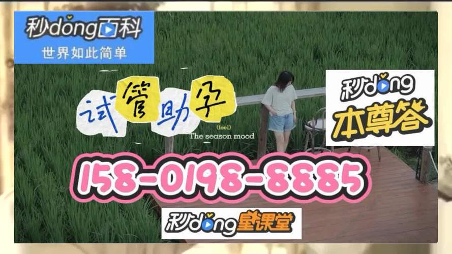 试管代怀公司名称(代怀宝贝,试管代怀公司专业服务”)