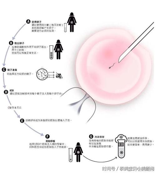 试管代怀试管代怀网_试管代怀网:助您实现试管代怀梦想
