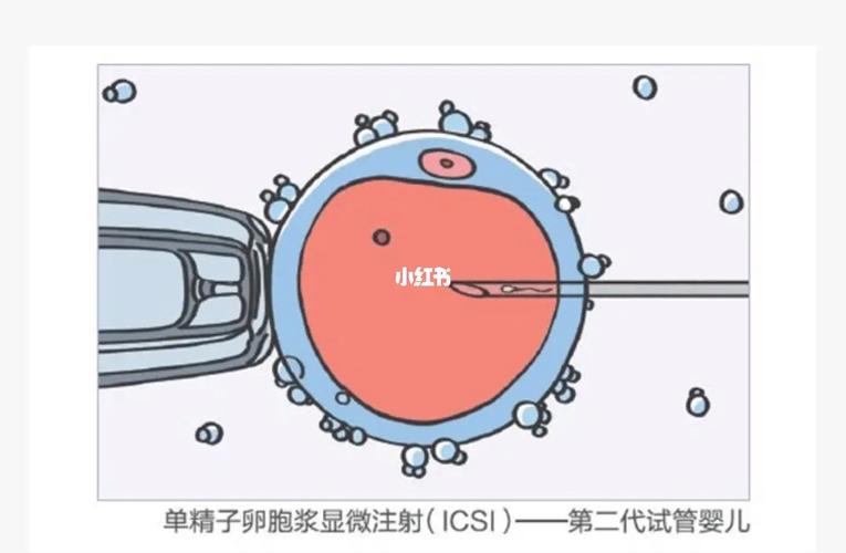 代卵试管代怀机构可靠吗(代卵试管代怀机构的可靠性调查)