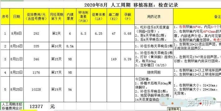 试管代怀成功要多少费用(试管代怀成功费用多少？)