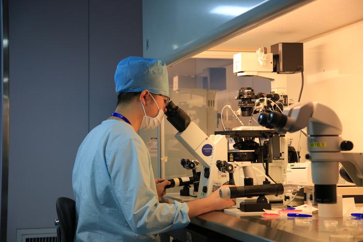 中国式试管代怀【中国式试管代怀：新生命的温暖传递】