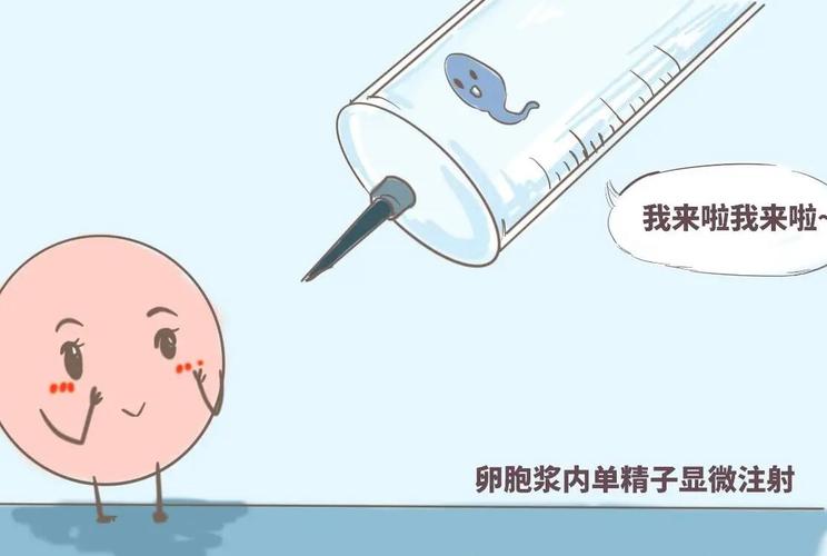 试管代怀妈妈包生男孩_试管代怀妈妈包生男孩：科技助力实现心中所愿