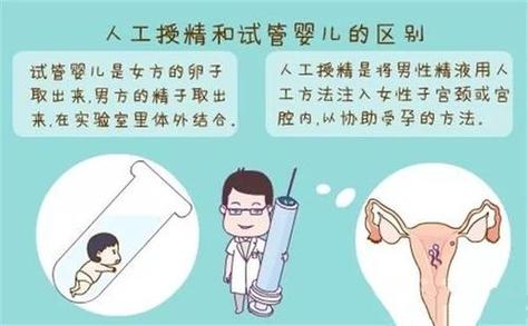 人工试管代怀试管_人工试管代怀试管:当代生育方式的探讨