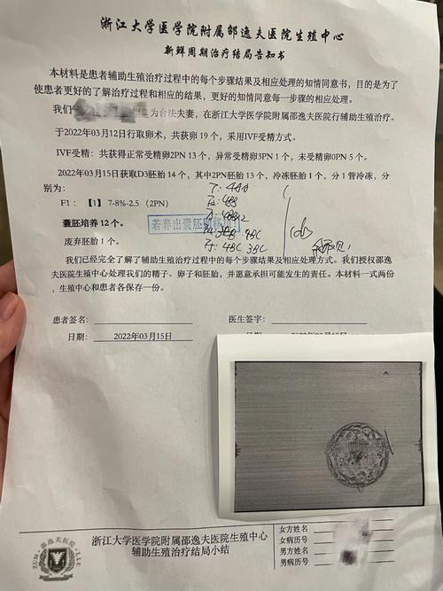 试管代怀少女临产前_试管代怀少女：临产前的挣扎与选择