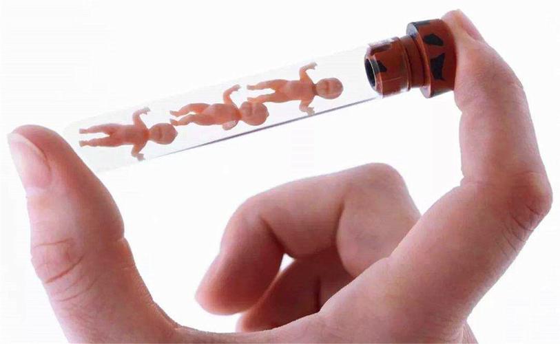 试管代怀孩子像谁(试管代怀孩子：以谁为中心？)