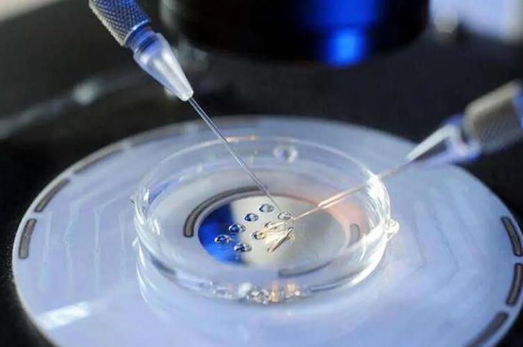 试管代怀多次成功【多次成功的试管代怀奇迹】