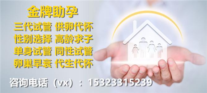 试管代怀佣金费用【试管代怀佣金费用解析】