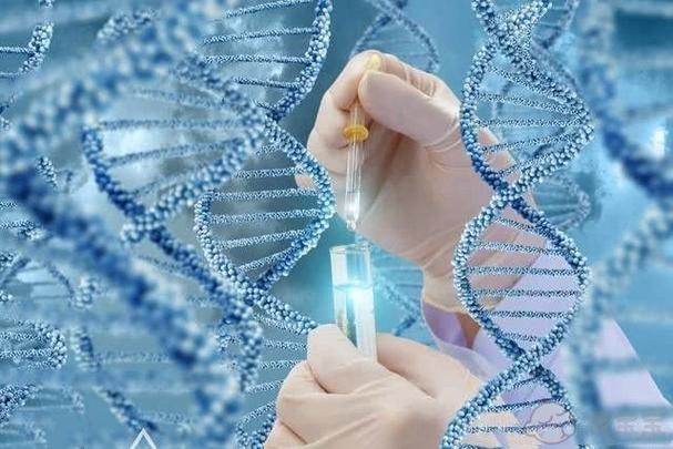 试管代怀哪里做的好_试管代怀哪里做的好:全面解析试管代怀妇产医院选择指南