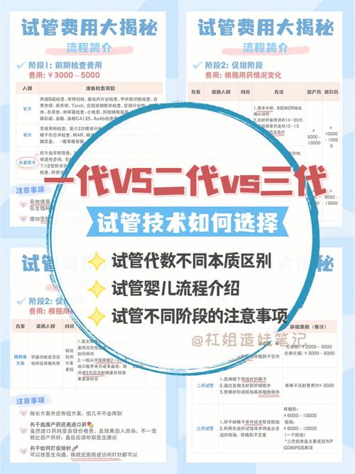 试管代怀公司B套餐_B套餐：试管代怀公司的最佳选择
