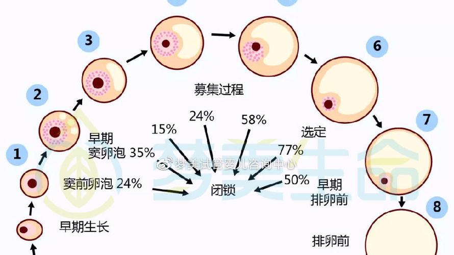 试管代怀周期多久_试管代怀周期多久合适?