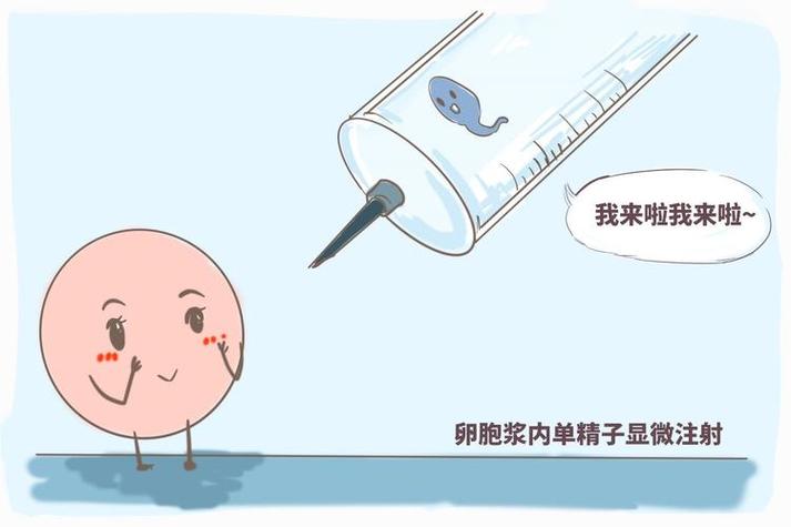 武汉三代供卵试管孩子(武汉三代供卵试管孩子的奇迹故事)