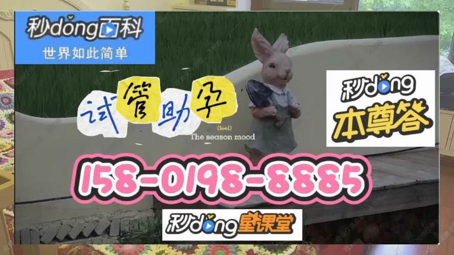 试管代怀套餐_定制试管代怀套餐，助您圆梦生育