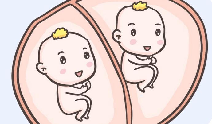 北京三代供卵试管双胞胎【北京三代供卵试管双胞胎：新生命的奇迹】