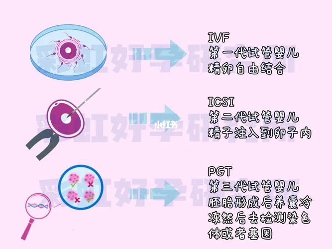 试管代怀之母-试管代怀之母：她们的故事