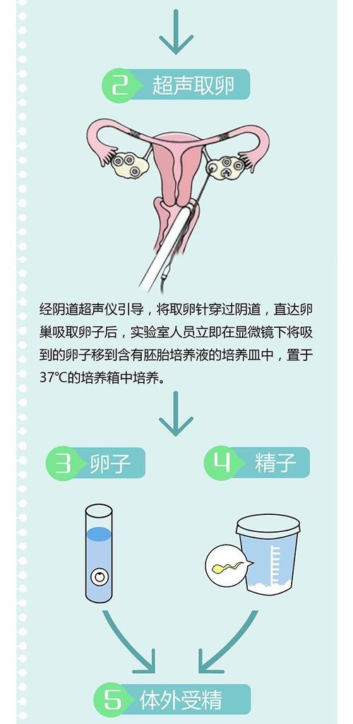 试管代怀是怎么操作的【试管代怀操作指南】