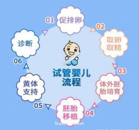 试管代怀什么时候能合法(试管代怀何时能合法化？)
