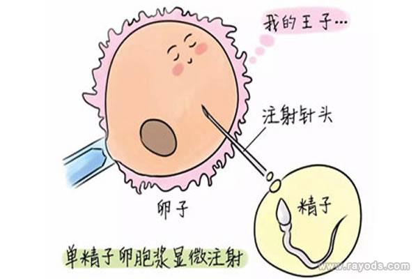 试管代怀是怎麼回事-试管代怀究竟是怎么一回事?