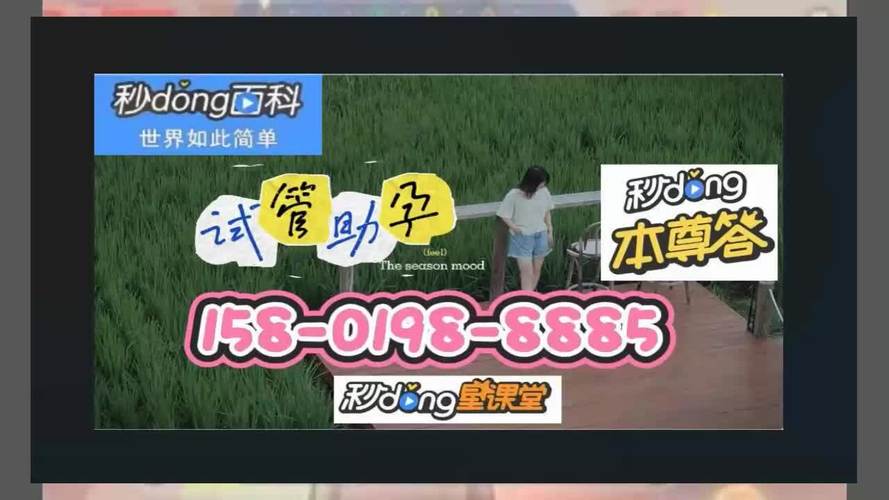试管代怀引发夺子官司(试管代怀引发夺子官司:争议与挑战)